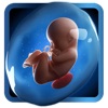 PregApp PregApp