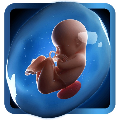 PregApp icon