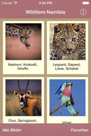 Faszination Wildnis Namibia screenshot 2