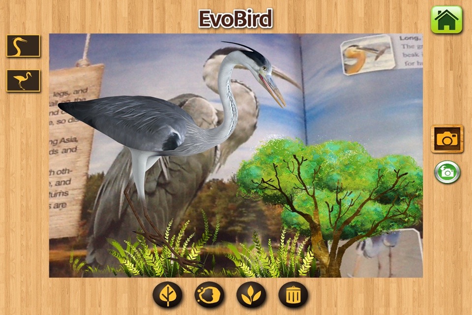 EVO BIRD - Augmented Reality screenshot 4