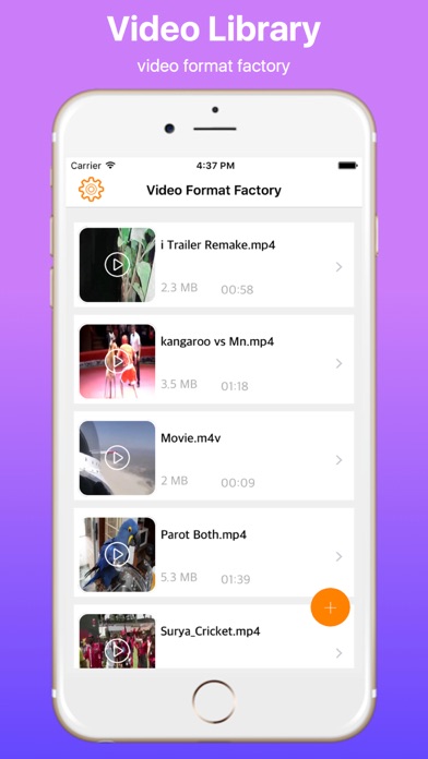 Video Format Factory Pro Screenshot 1