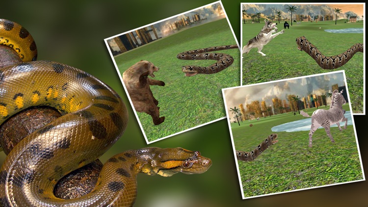 Real Anaconda Snake Simulator 3D: Hunt for wolf, bear, tiger & survive in the jungle