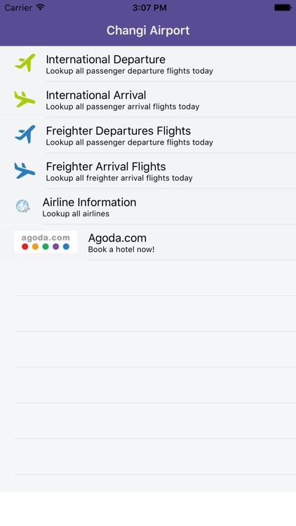 Changi Airport Flight Status