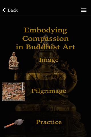 Embodying Compassion in Buddhist Art screenshot 2