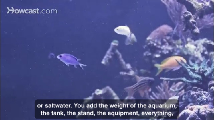 Aquarium Care screenshot-4