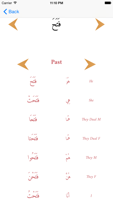 How to cancel & delete Arabic Tenses and verb Conjugations from iphone & ipad 3