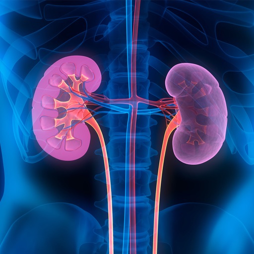 Repair Your Kidneys Naturally icon