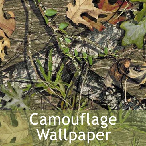 Camouflage Wallpaper 2015 icon
