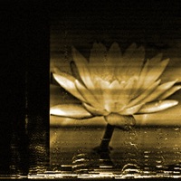 Acoustic Picture Transmitter Pro PC 용