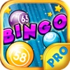 Bingo Groove PRO - Play Online Casino and Gambling Card Game for FREE !