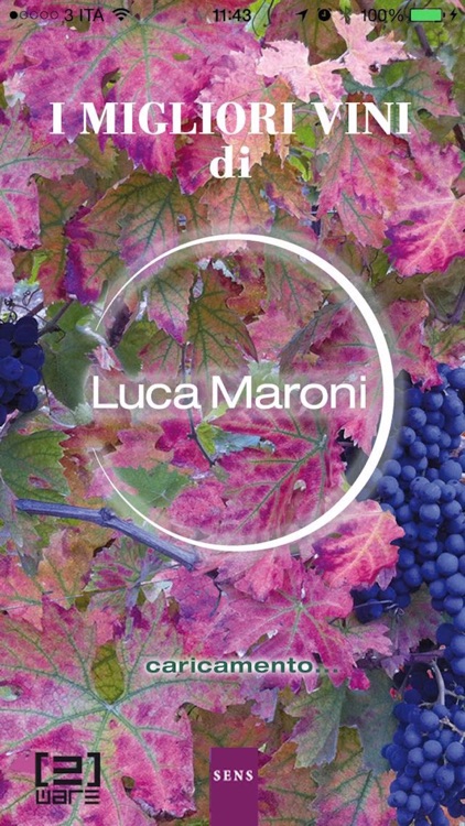 i Migliori Vini di Luca Maroni