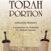 Torah Portion