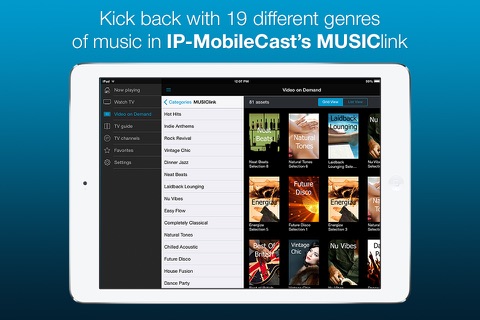 IP-MobileCast screenshot 3