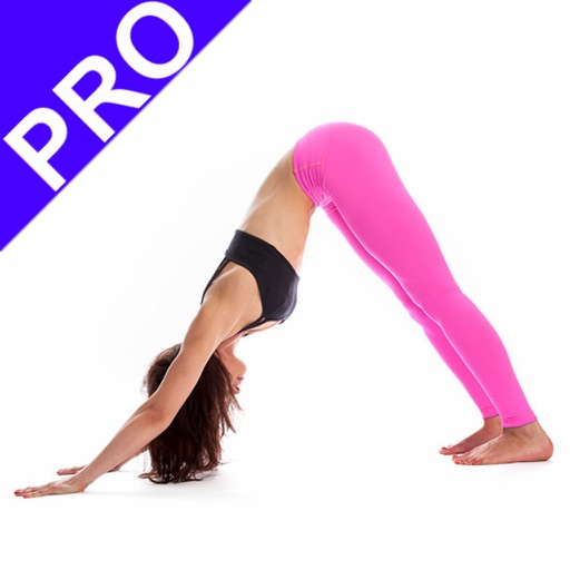 Yoga For Beginner PRO icon