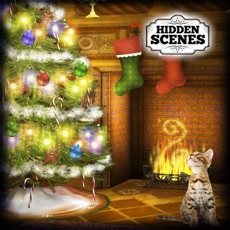 Activities of Hidden Scenes - Happy Holidays