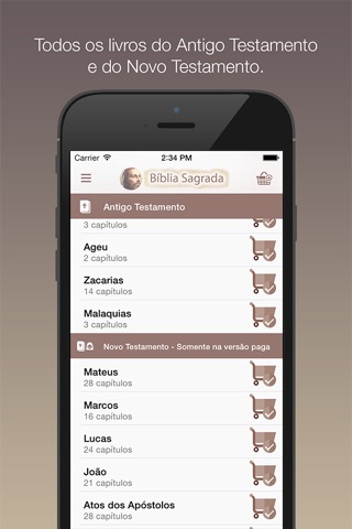 Bíblia Sagrada Lite screenshot 3
