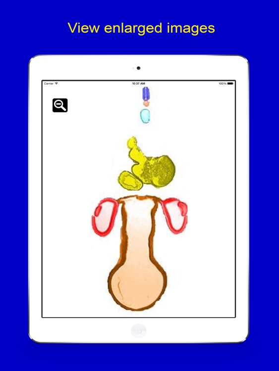 Dimensional Embryology screenshot-4