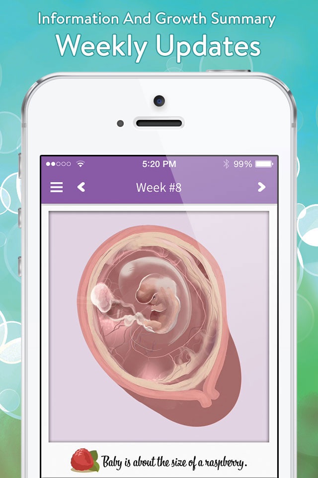 Pregnancy View screenshot 2
