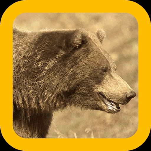 Bear Tracker: Dangerous Hunt Icon