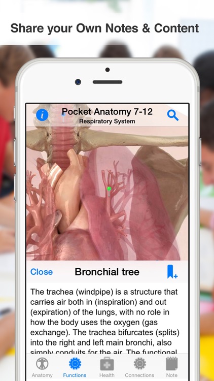 High School Anatomy screenshot-3