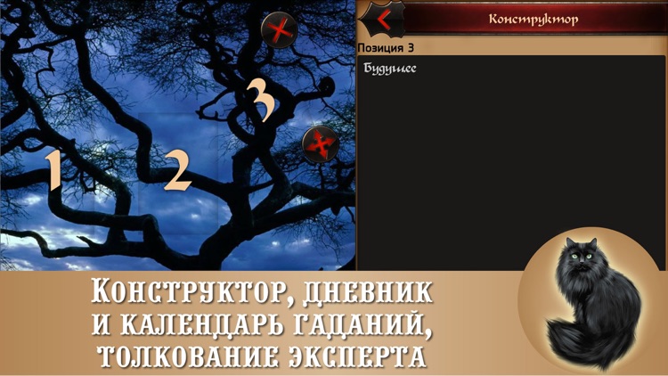 Гадалка Таро - бесплатные гадания на картах Tarot screenshot-4