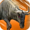 Wild Wilder Beest Simulation