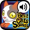 The Best Cats Sounds+