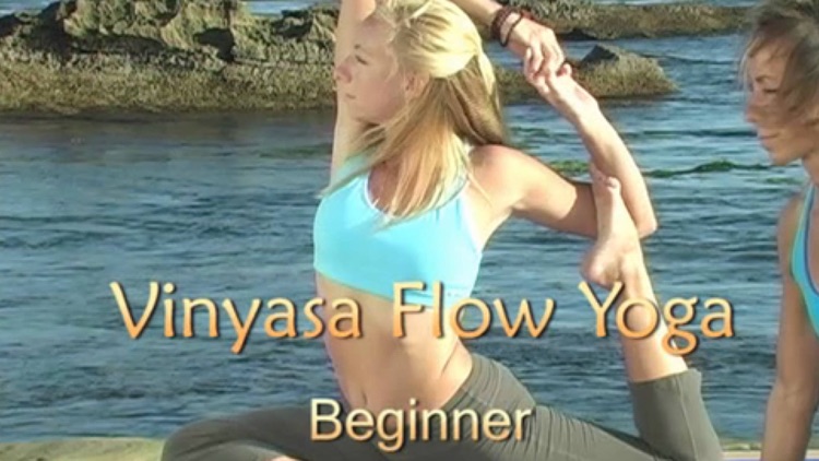 Vinyasa Flow Yoga, Beginner VideoApp with Christina Pedersen
