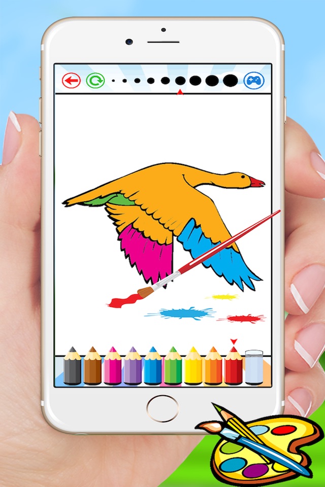 Bird Coloring Book for Kids - Children Drawing free games screenshot 3
