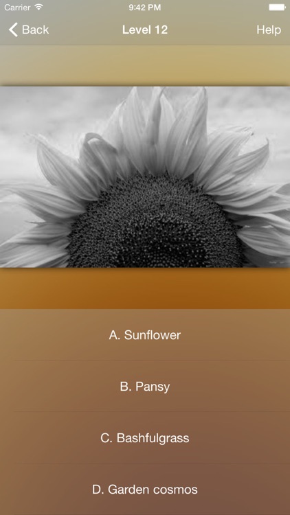 Flower WP Pro ~Extremely HD Flowers Wallpaper Image Gallery
