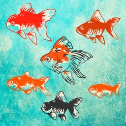 Goldfish Aquarium - Japanese Style -