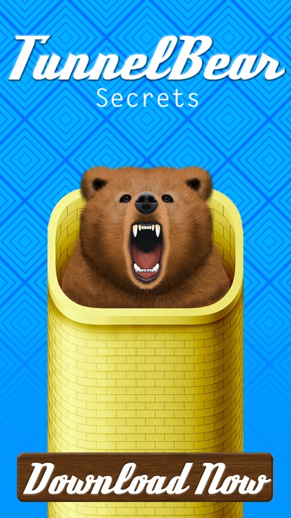 VPN-Cover - Identity Protection Tunnel-bear Edition