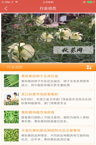 中国秋葵网 screenshot 4