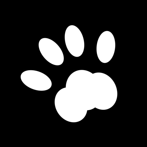 Paws - the cutest social network