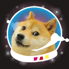 Activities of Star Doge: Anonymous NSA Free Internet Message Board