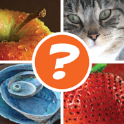 4 Pics 1 Word Puzzle: What's That Word?