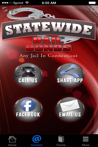 Statewide Bail Bonds screenshot 2
