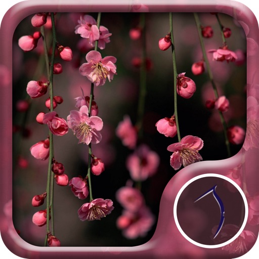 Spring Flowers Wallpaper: Best HD Wallpapers iOS App