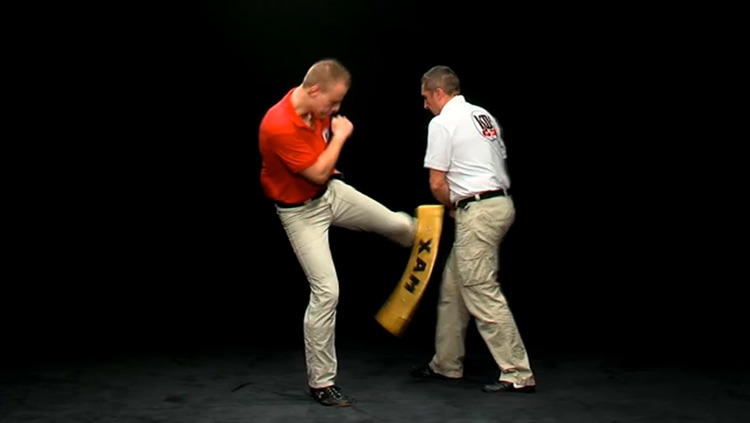 Krav Maga Lesson vol.4 - Defense on Kicks