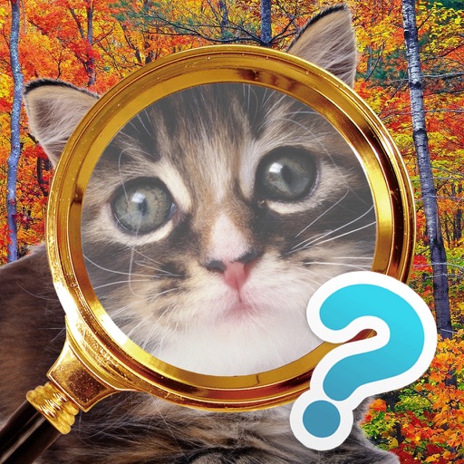 Find the Cat - look for a cat on a picture icon