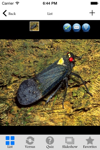 Insectarium Pro screenshot 4