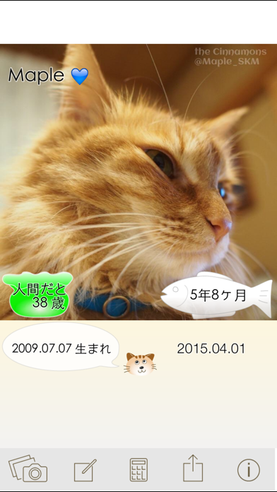 ニャンコいくつ？愛猫の年齢を計算して写真で保存！のおすすめ画像3