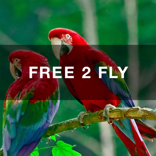 FREE 2 FLY