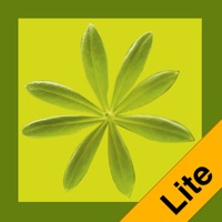 Essbare Wildpflanzen (Lite Version) Alternative