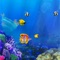 The Tlittle Fish Big Fish Eat Small Fish : Easy Fish Games For Kids