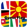 Guess Flags