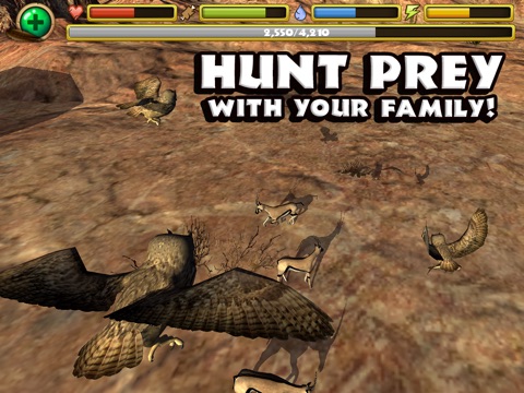 Скачать игру Owl Simulator
