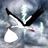 Burden Stork