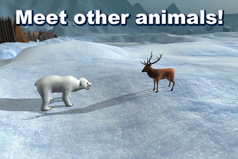 Polar Bear Survival Simulator 3D Free screenshot 3
