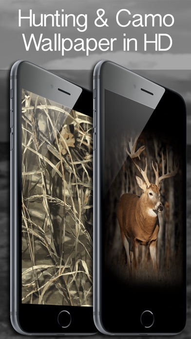 Download Stag Headshot Deer Hunting Wallpaper  Wallpaperscom